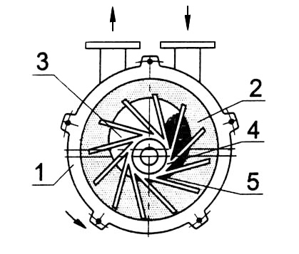2BC水环式开云网_开云网(中国)内部结构图